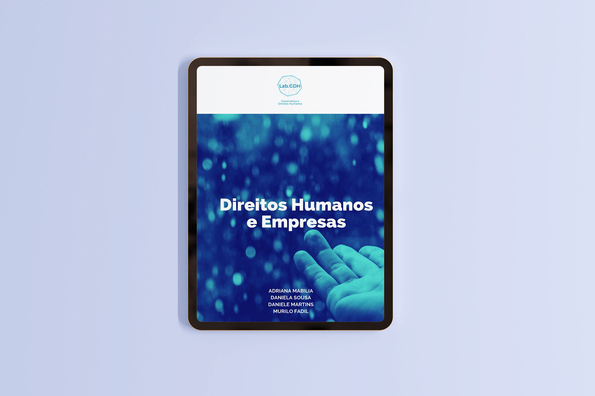 Direitos Humanos e Empresas