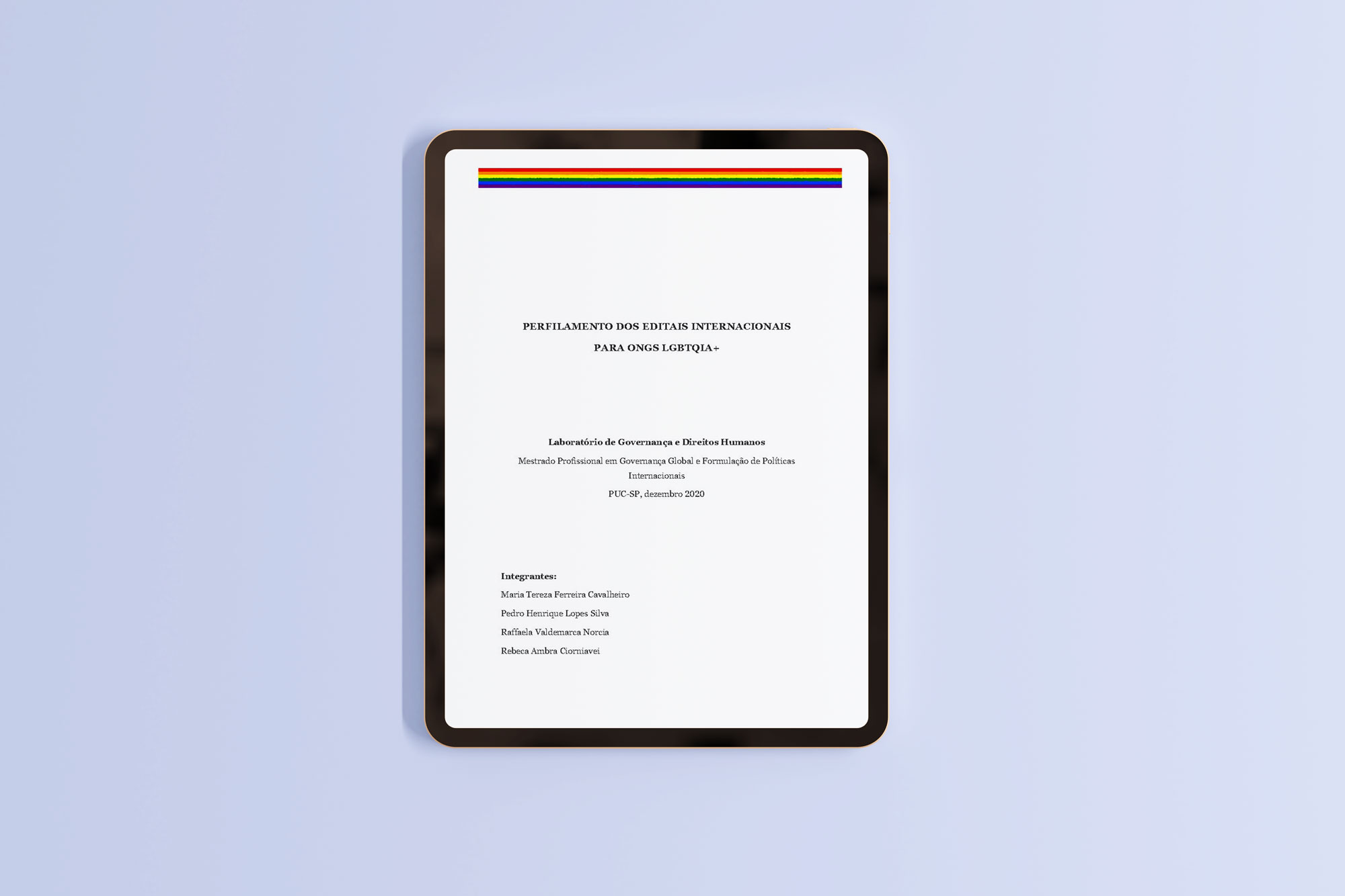 Perfilamento dos Editais internacionais para ONGs LGBTI