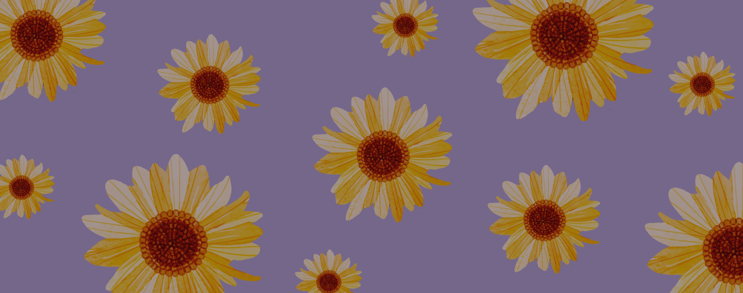 Projeto Muda – Rede de Mentoria Entre Mulheres